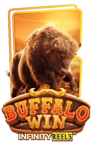 buffalo-win -RICHNOW